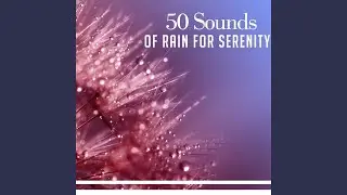 Relaxing Spring Rain for Yoga
