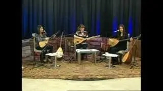 ÖZGE ÇAM- DOST YARASI