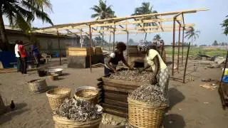 2014 09 SEI Soot Video