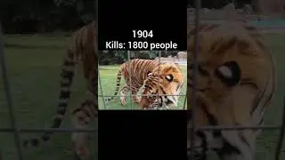 Tiger kills from each years #viralvideo #youtubeshorts