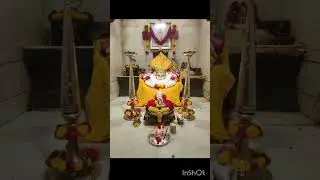 swaminche aajache darshan akkalkot vatvruksh mandir..❤️🙏🏼 #viral #shreeswami #love