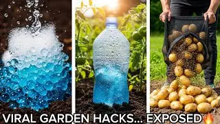 I Tried the Most Viral Dollar Tree Garden Hacks (2026) &mdash;Here&rsquo;s What Actually Worked