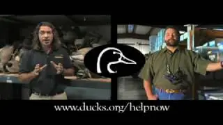 John Stephens & Rod Haydel on Rescue the Duck Factory