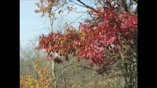 Wednesday Word 4 - The Indwelling and Outflowing of the Holy Spirit-Charles Spurgeon
