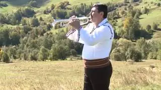 Adam Stângă - Melodie de ascultare