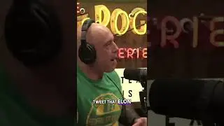 Elon Musk Accuses Trump: Epstein Files Bombshell?
