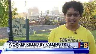 City worker killed by falling tree
