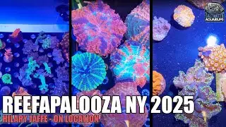 Reefapalooza NY 2025 Tour | HUGE Corals, Saltwater Fish & New Reef Tank Gear! | Hilary on Location
