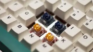 Gamakay Pegasus V2 vs Phoenix V2 (Tactile vs Linear) ft. Gamakay TK75 V2