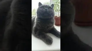 лайфхак для мужчин)