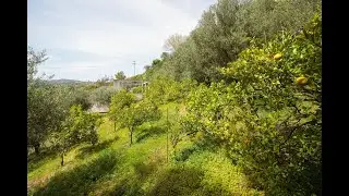 Venerato ID 916 - Wonderfull Property -  Multiple property &Epsilon;state Part 2