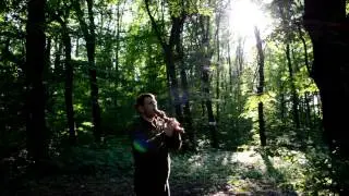 Summer wood (Native American Flute)
