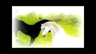 Star Stable Sad Horse Story [Pieces]