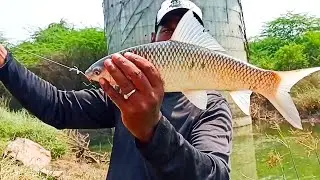 Fish Catching Carp Fish Catching |Telangana fishing group |Manjeera river Fishing video 🎣