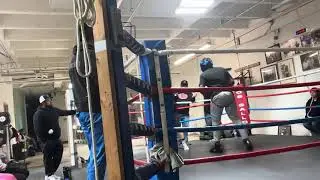 Sparring at los gallos boxing club