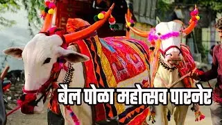 बैल पोळा महोत्सव जाधव व पवळ परिवार | बेंदूर सण उत्सव |  Bail Pola 2019