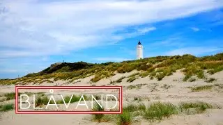 Denmark | Blåvand Strand, Blaavandshuk Fyr and Bunker Mules