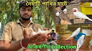 Naihati Pet Market 💥|🔥 Recent Bird Price Update | Premium Quality Conure, Cockatiel Etc.🤯
