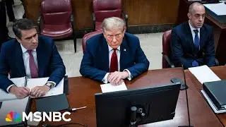 ‘If you don’t perform well in front of Trump, you won’t get paid’: Trump’s lawyers under pressure