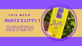 RUNTZ X LITTY, HHCP (Lemon Cream Cake🍋🎂) 1G Disposable Review❗️