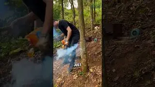 This Tree Is Worth More Than Gold