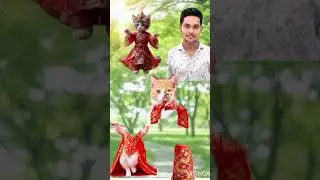Cat vs man vfxvideo😺 😹 #shorts #cats #vfx #viralvideo