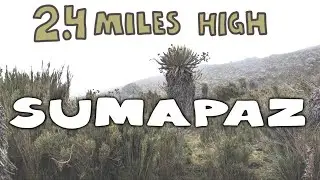 Hiking to el P&aacute;ramo de Sumapaz, Colombia