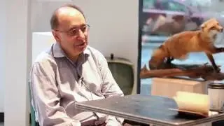 Ernie Gehr Interview (Excerpt) - The Seventh Art
