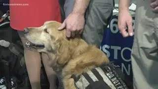How K9 for Warriors helps veterans struggling with PTSD, suicidal thoughts
