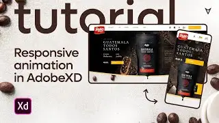 Adobe XD Animation Tutorial - Responsive website for Instagram