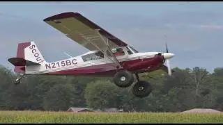 Leigh Smith  (American Champion Scout) - Fly/In Cruise/In