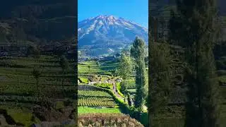 indonesian village#nature #alamindonesia #beautifullindonesia #pegununganindonesia