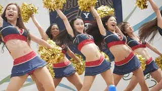 チア2016 横浜ビー•コルセアーズ B-ROSE