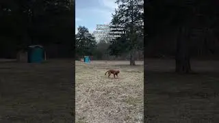 It's the stick twirling that gets me