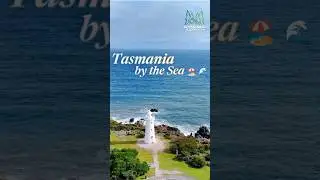 Tasmania by the Sea 🌊 @DynamicJourneys#australia #beach #foryou #shorts #dji #viral #sea #music