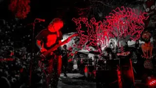 Dormitabis - PARTIAL SET (Live at Planet K South Lamar - January 3rd, 2026)