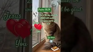 Rejoice and Be Glad | Psalm 118:24 | Cat & Scripture