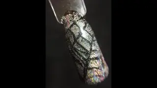 Gel Nail Art: Holo Spider Web