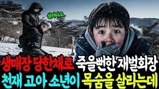생매장 당한채로 죽을뻔한 재벌회장, 천재 고아 소년이 목숨을 살리다ㅣ노후사연ㅣ감동사연ㅣ사연라디오ㅣ오디오북