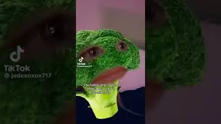 Vent TikTok Compilation #1