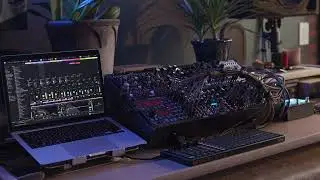 Meditative Eurorack Generative Ambient // OddPotential