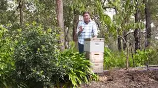 The Garden Gurus - Hints and Tips Beehives