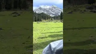 Camping in #pahalgam #kashmir #shorts #vlog #startup #trip #mountains #lifeisbutadream