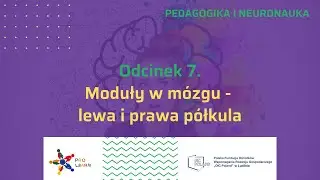 1.7 Moduły w mózgu -  lewa i prawa półkula