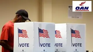 Dinesh D&rsquo;Souza on Election Security, Voter ID, and Ongoing Concerns