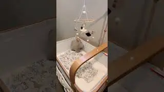 A neutral nursery tour featuring Cradlewise Smart Crib