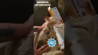 The ultimate grooming experience for your furry friends. #PetGrooming #PetComfort #FidoFave
