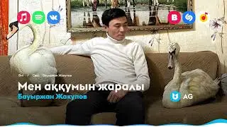 Бауыржан Жакупов - Мен аққумын жаралы