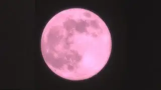 We Are Going To See A Rare Super Pink Moon This Month!