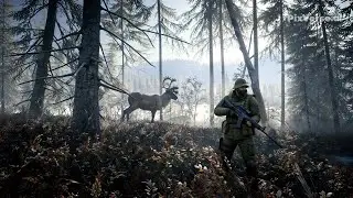 The Siberian Hunt Continues 🐻 | Medved-Taiga Adventure | Hunter: Call of the Wild